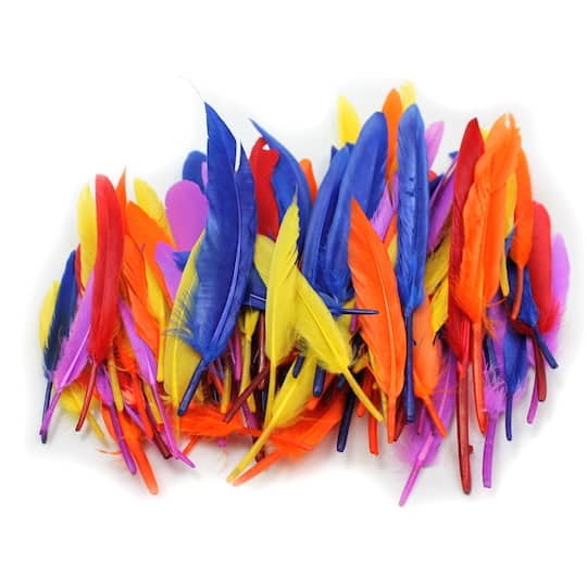 Charles Leonard Duck Quill Feathers, 6 Packs